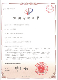 Patent for invention