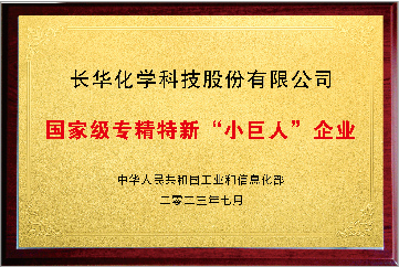 國家級專精特新“小巨人”企業(yè)