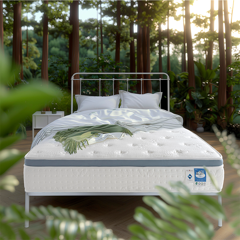 57524644.png 憶綿系列.png